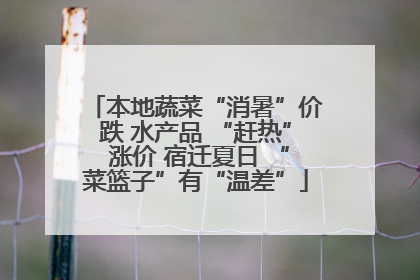 本地蔬菜“消暑”价跌 水产品 “赶热” 涨价 宿迁夏日 “菜篮子”有“温差”