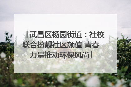 武昌区杨园街道：社校联合扮靓社区颜值 青春力量推动环保风尚