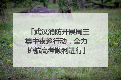 武汉消防开展周三集中夜巡行动，全力护航高考顺利进行