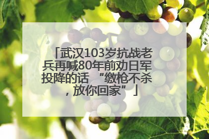 武汉103岁抗战老兵再喊80年前劝日军投降的话 “缴枪不杀，放你回家”