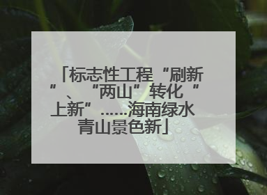 标志性工程“刷新”、“两山”转化“上新”……海南绿水青山景色新