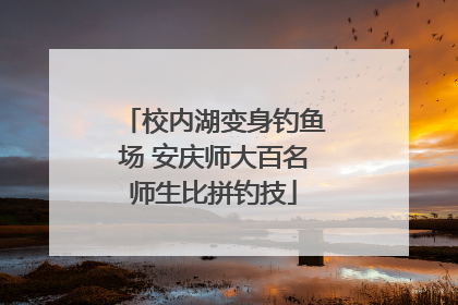 校内湖变身钓鱼场 安庆师大百名师生比拼钓技