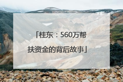 桂东：560万帮扶资金的背后故事