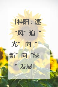 桂阳：逐“风”追“光” 向“新”向“绿”发展
