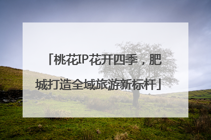 桃花IP花开四季，肥城打造全域旅游新标杆