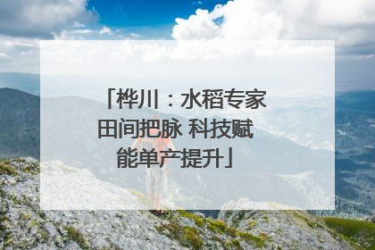桦川：水稻专家田间把脉 科技赋能单产提升