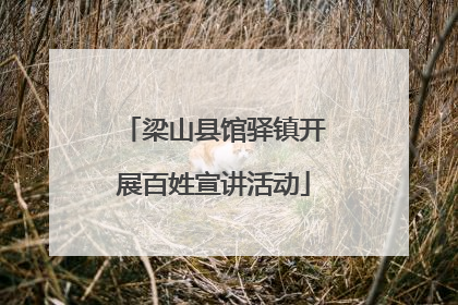 梁山县馆驿镇开展百姓宣讲活动