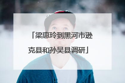 梁惠玲到黑河市逊克县和孙吴县调研