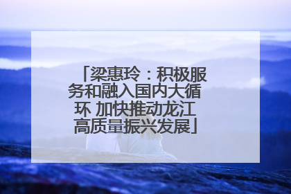 梁惠玲：积极服务和融入国内大循环 加快推动龙江高质量振兴发展