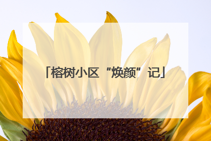 榕树小区“焕颜”记