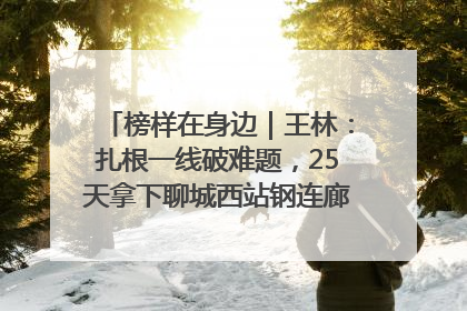 榜样在身边｜王林：扎根一线破难题，25天拿下聊城西站钢连廊“硬核”工程