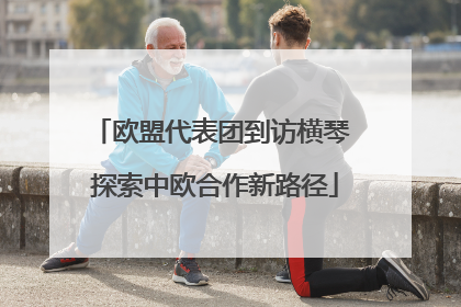 欧盟代表团到访横琴 探索中欧合作新路径