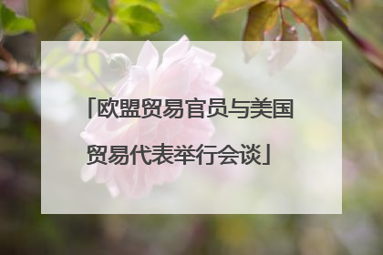 欧盟贸易官员与美国贸易代表举行会谈
