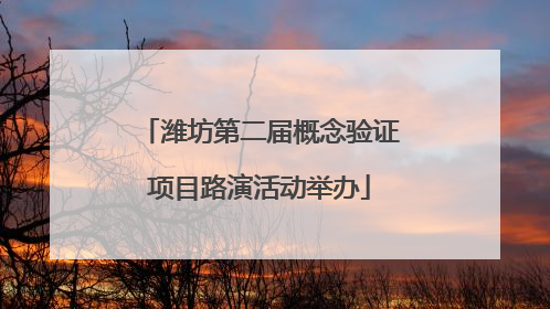 潍坊第二届概念验证项目路演活动举办