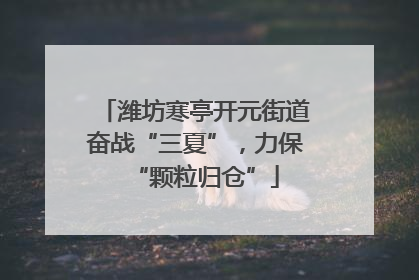 潍坊寒亭开元街道奋战“三夏”，力保“颗粒归仓”