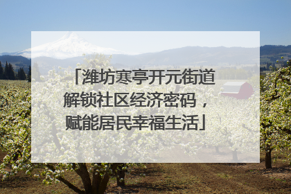 潍坊寒亭开元街道解锁社区经济密码，赋能居民幸福生活