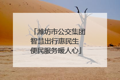 潍坊市公交集团智慧出行惠民生 便民服务暖人心