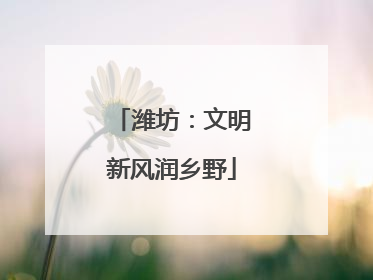 潍坊：文明新风润乡野