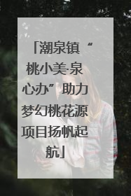 潮泉镇“桃小美·泉心办”助力梦幻桃花源项目扬帆起航