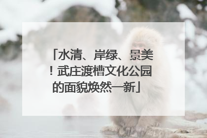 水清、岸绿、景美！武庄渡槽文化公园的面貌焕然一新