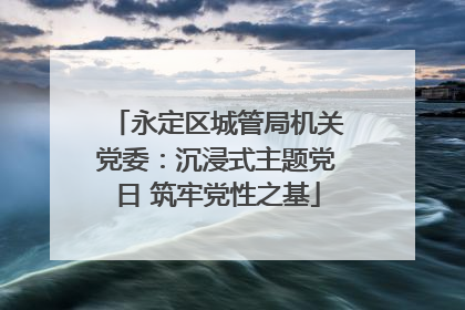 永定区城管局机关党委：沉浸式主题党日 筑牢党性之基