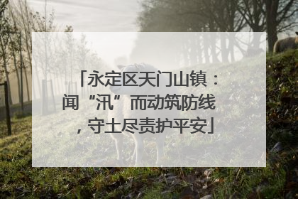 永定区天门山镇：闻“汛”而动筑防线，守土尽责护平安