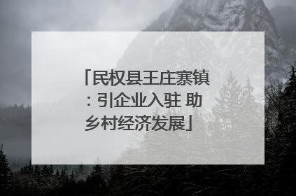 民权县王庄寨镇：引企业入驻 助乡村经济发展