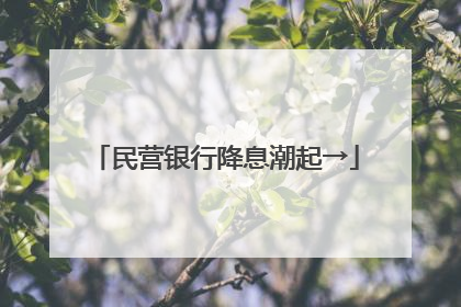 民营银行降息潮起→
