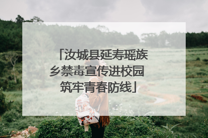 汝城县延寿瑶族乡禁毒宣传进校园 筑牢青春防线