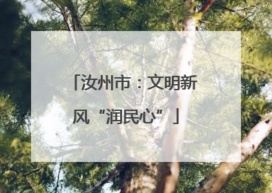 汝州市：文明新风“润民心”
