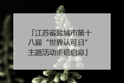 江苏省盐城市第十八届“世界认可日”主题活动重磅启幕