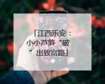 江西乐安：小小芦笋“破”出致富路
