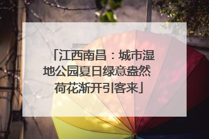 江西南昌：城市湿地公园夏日绿意盎然 荷花渐开引客来
