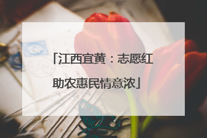 江西宜黄：志愿红助农惠民情意浓