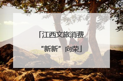 江西文旅消费“新新”向荣