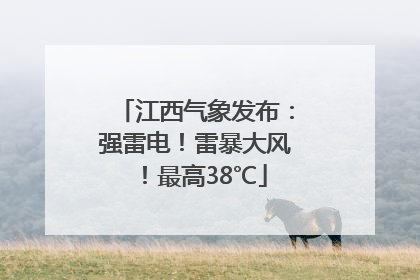 江西气象发布：强雷电！雷暴大风！最高38℃