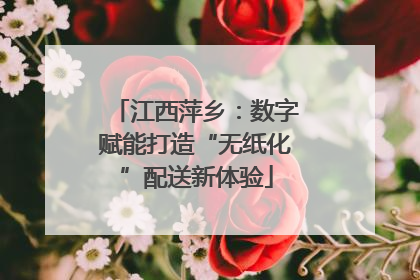 江西萍乡：数字赋能打造“无纸化”配送新体验