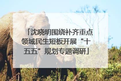 沈晓明围绕补齐重点领域民生短板开展“十五五”规划专题调研