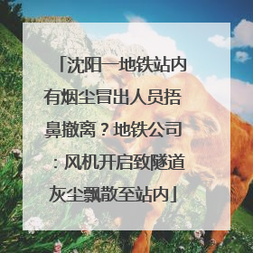 沈阳一地铁站内有烟尘冒出人员捂鼻撤离？地铁公司：风机开启致隧道灰尘飘散至站内