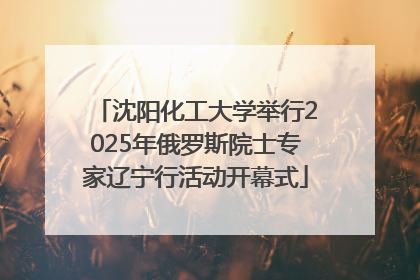 沈阳化工大学举行2025年俄罗斯院士专家辽宁行活动开幕式