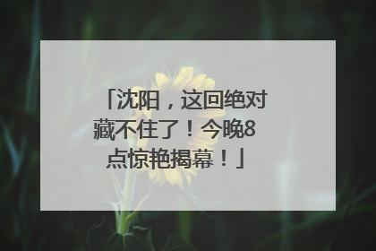 沈阳，这回绝对藏不住了！今晚8点惊艳揭幕！
