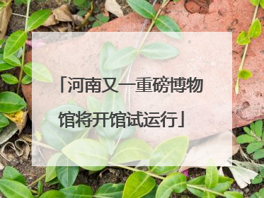 河南又一重磅博物馆将开馆试运行
