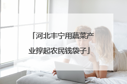 河北丰宁用蔬菜产业撑起农民钱袋子