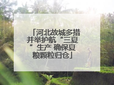 河北故城多措并举护航“三夏”生产 确保夏粮颗粒归仓