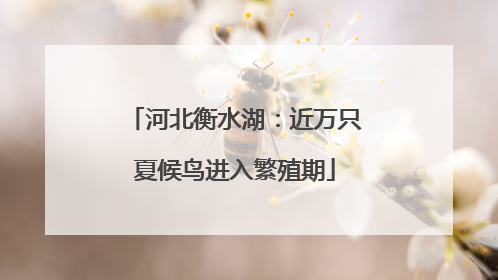 河北衡水湖：近万只夏候鸟进入繁殖期