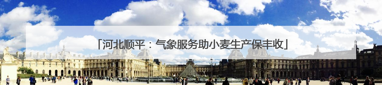 河北顺平：气象服务助小麦生产保丰收