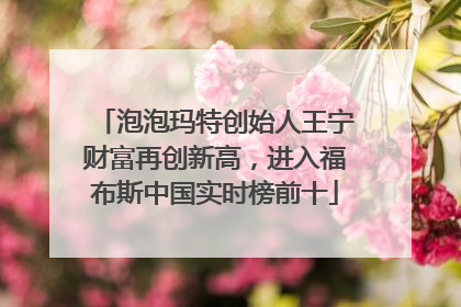 泡泡玛特创始人王宁财富再创新高，进入福布斯中国实时榜前十