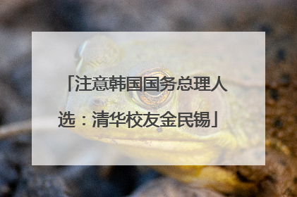 注意韩国国务总理人选：清华校友金民锡