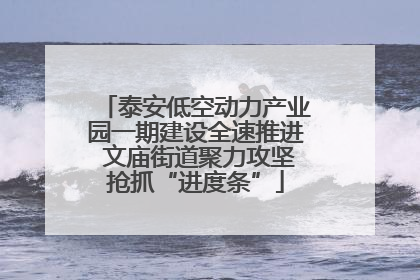 泰安低空动力产业园一期建设全速推进 文庙街道聚力攻坚抢抓“进度条”