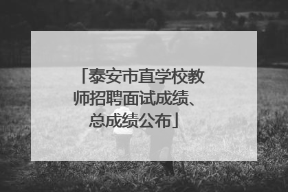 泰安市直学校教师招聘面试成绩、总成绩公布
